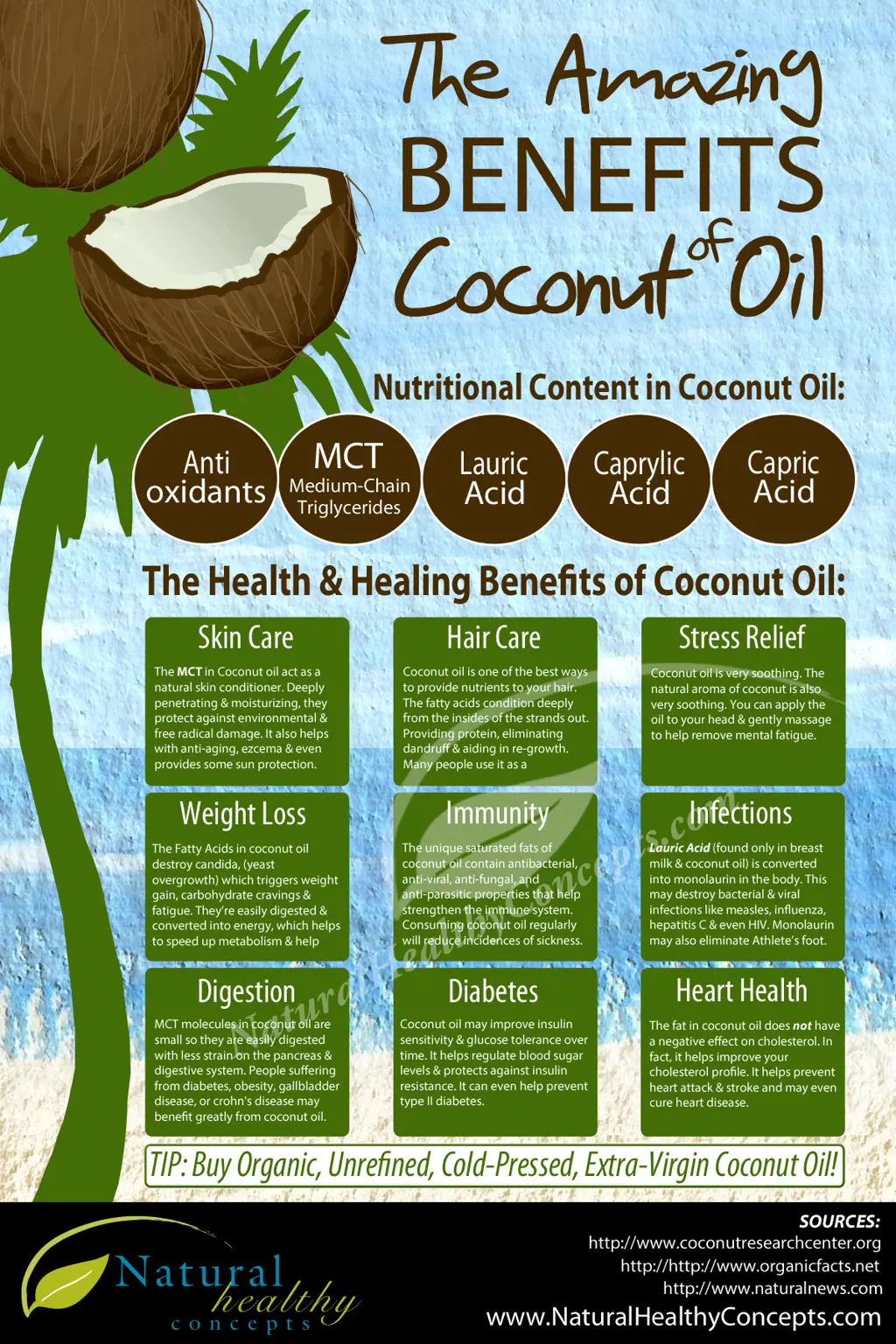 Does Coconut Oil Shampoo Really Keep Lice At Bay? | ShunHair