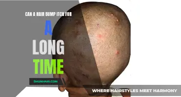 Why Does a Hair Bump Itch for a Prolonged Period?