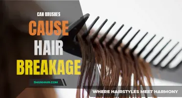 The Impact of Brushes on Hair Breakage: What You Need to Know