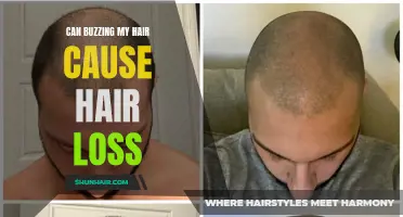 Understanding the Relationship Between Buzz Cuts and Hair Loss: Debunking the Myths