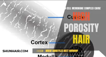 Understanding the Role of Cell Membrane Complex in Determining Porosity Levels of Hair