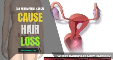 Understanding the Connection Between Endometrial Cancer and Hair Loss