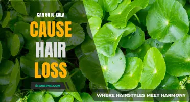 Understanding the Potential Connection Between Gotu Kola and Hair Loss