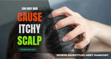 Understanding the Link Between Gray Hair and Itchy Scalp: Causes and Remedies