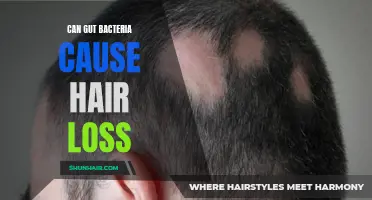 The Link Between Gut Bacteria and Hair Loss: Exploring the Connection