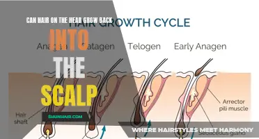 Understanding the Phenomenon: Can Hair on the Head Grow Back into the Scalp?