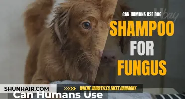 Can Humans Safely Use Dog Shampoo for Fungus Treatment?