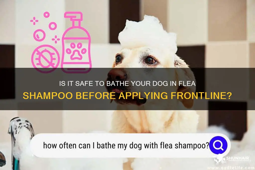 can I bathe dog in flea shampoo before applying frontline
