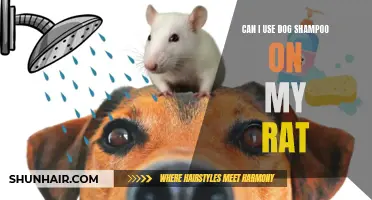Is it Safe to Use Dog Shampoo on My Rat?