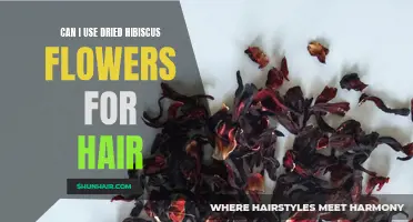 Exploring the Benefits of Using Dried Hibiscus Flowers for Hair Care