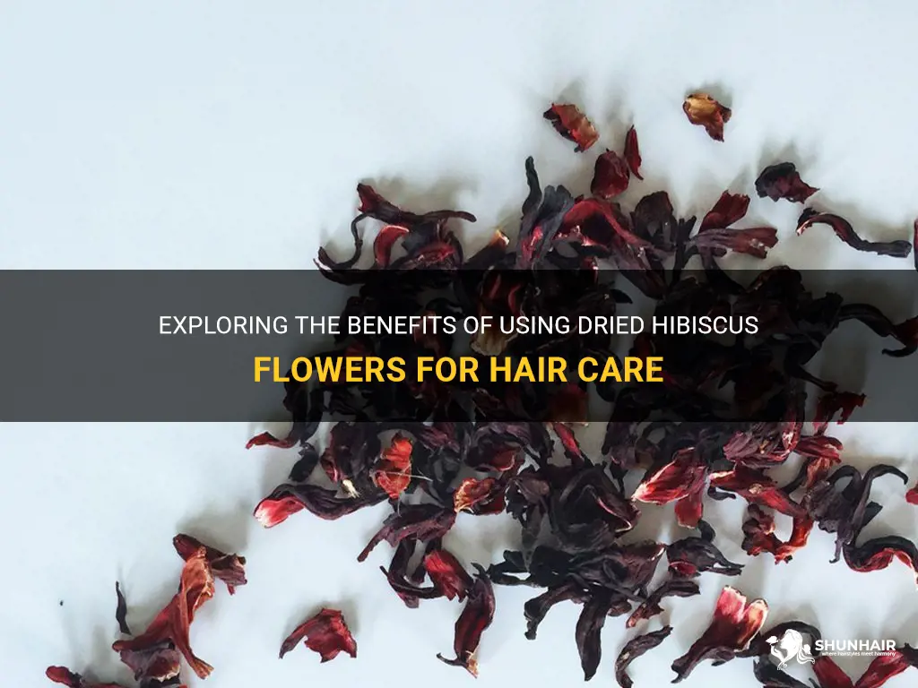 can I use dried hibiscus flowers for hair