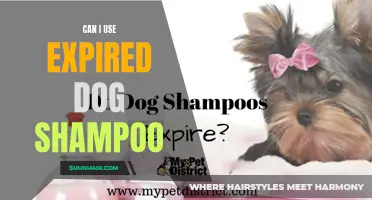 Is It Safe to Use Expired Dog Shampoo on Your Pet?