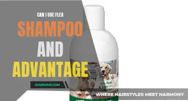 Combining Flea Shampoo and Advantage: A Comprehensive Guide for Flea Control