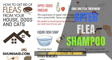 Comparison: Using Flea Treatment vs. Flea Shampoo – Which is More Effective?