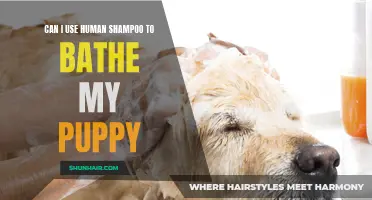 Is It Safe to Use Human Shampoo to Bathe My Puppy?