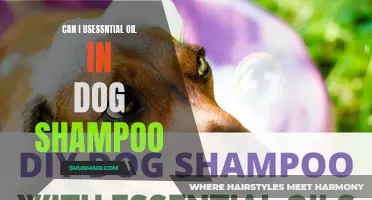 Benefits of Using Essential Oils in Dog Shampoo