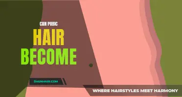 Can Pubic Hair Become a Health Concern?