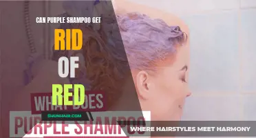 Exploring the Effectiveness of Purple Shampoo in Red Hair Color Correction