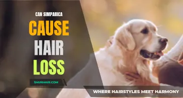 Understanding Simparica: Can It Cause Hair Loss in Dogs?