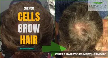 The Promising Potential: Can Stem Cells Grow Hair?