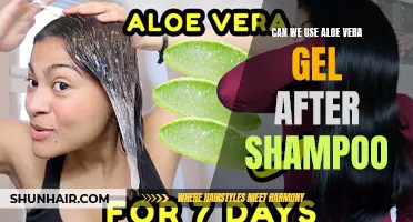 Using Aloe Vera Gel After Shampoo: Benefits and Tips