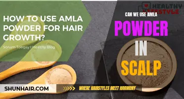 Maximizing hair health: The benefits of using amla powder on the scalp
