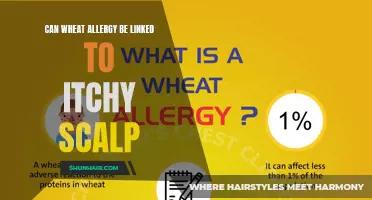 Discovering the Link Between Wheat Allergy and Itchy Scalp