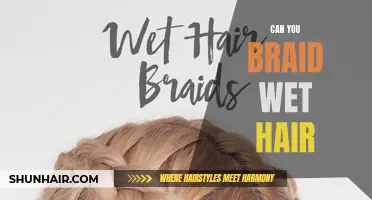 Is It Possible to Braid Wet Hair?