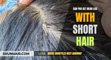 Can You Still Get Head Lice Even with Short Hair?