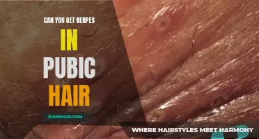 Understanding the Link Between Pubic Hair and Herpes Infection