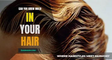 Unwanted Guests: Can Mold Take Root in Your Hair?