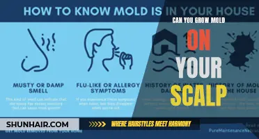Exploring the Possibility: Can Mold Grow on Your Scalp?