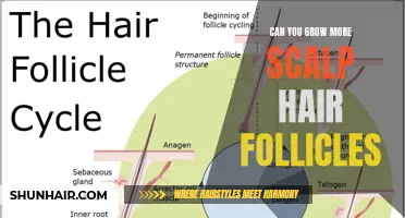 Can You Naturally Increase the Number of Scalp Hair Follicles?