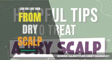 Understanding the Link Between Dry Scalp and Hair Loss