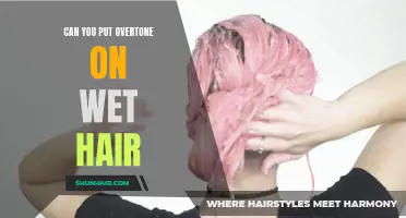 Can You Apply Overtone Hair Dye on Wet Hair? All Your Questions Answered