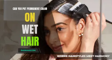 Is It Possible to Apply Permanent Hair Color on Wet Hair? An In-Depth Look