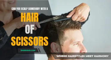 Unveiling the Myth: Is it Possible to Scalp Somebody with a Pair of Scissors?