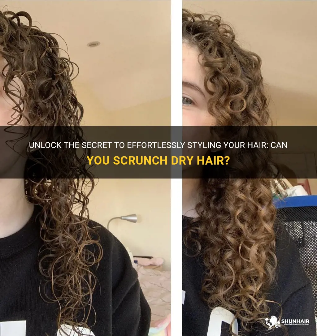 can you scrunch dry hair