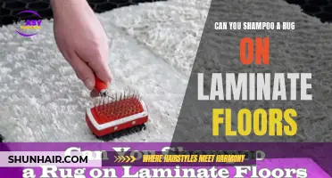 Shampooing a Rug on Laminate Floors: What You Need to Know