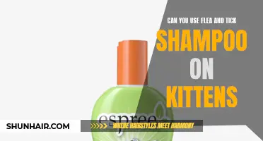 Is It Safe to Use Flea and Tick Shampoo on Kittens?