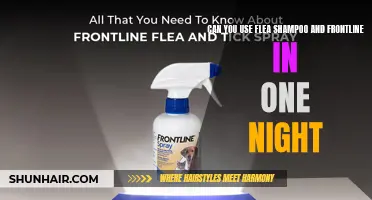Combining the Power of Flea Shampoo and Frontline: Effective Treatment in One Night