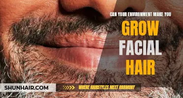Exploring the Role of Environmental Factors in Stimulating Facial Hair Growth