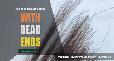 Understanding the Relationship Between Dead Ends and Hair Growth: Can Your Hair Still Grow With Dead Ends?