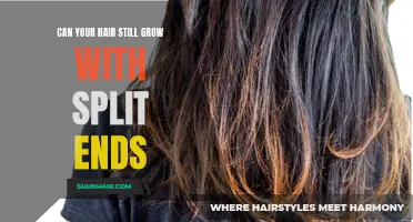 Understanding the Relationship Between Split Ends and Hair Growth: Can Your Hair Still Grow Despite Split Ends?