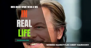 The Truth About David Spade and His Hair: Does He Wear a Wig in Real Life?