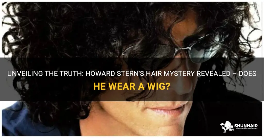 does howard stern wear wig