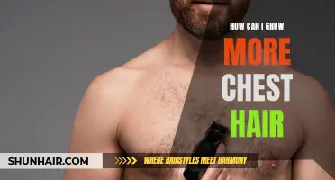 Uncover the Secrets to Stimulating Natural Chest Hair Growth