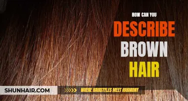 The Lustrous Aesthetics of Brown Hair Unveiled: Delving into its Diverse Shades and Descriptions