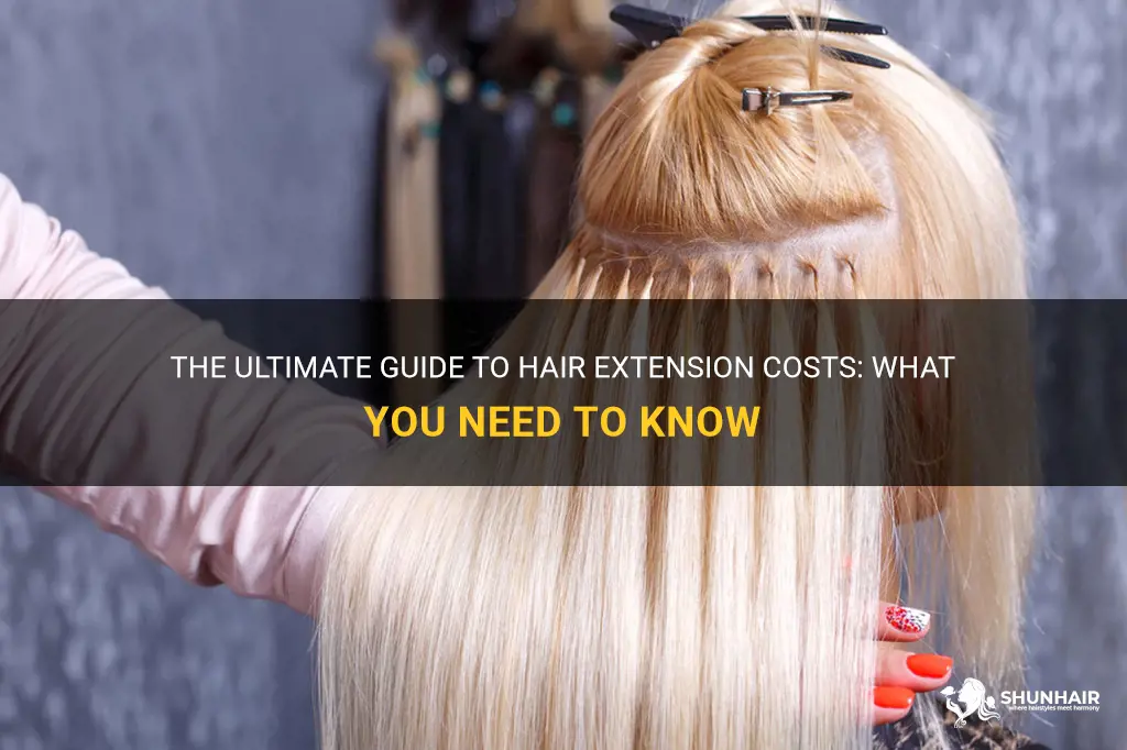 how much can hair extensions cost