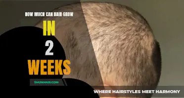 The Amazing Growth Potential of Hair in Just Two Weeks